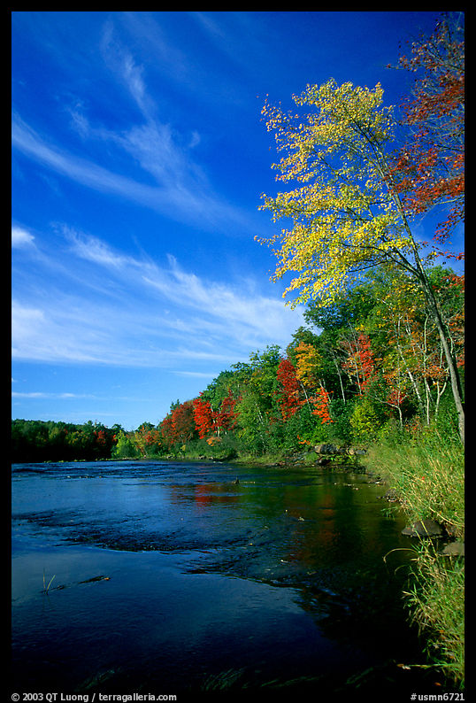 Trees and river, Banning State Park. Minnesota, USA