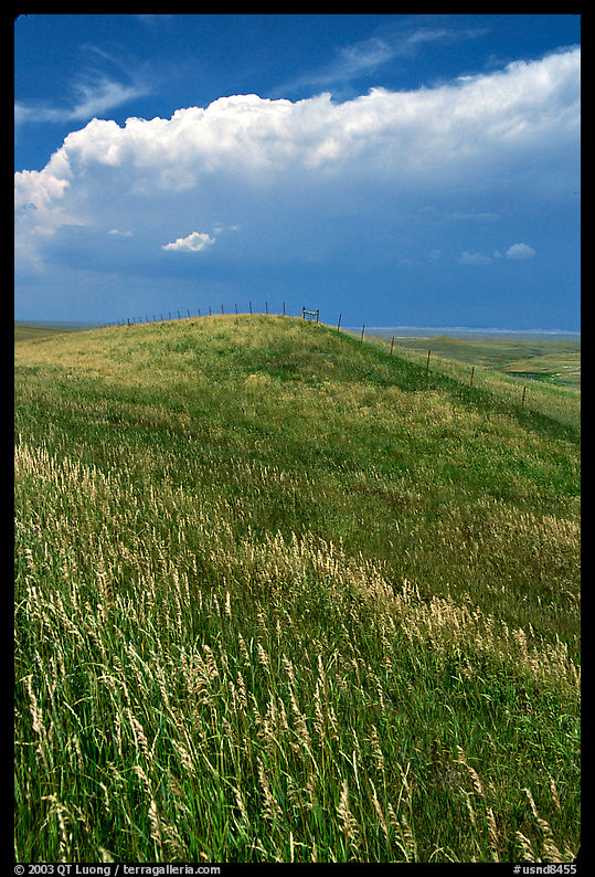 Grassy hills. North Dakota, USA