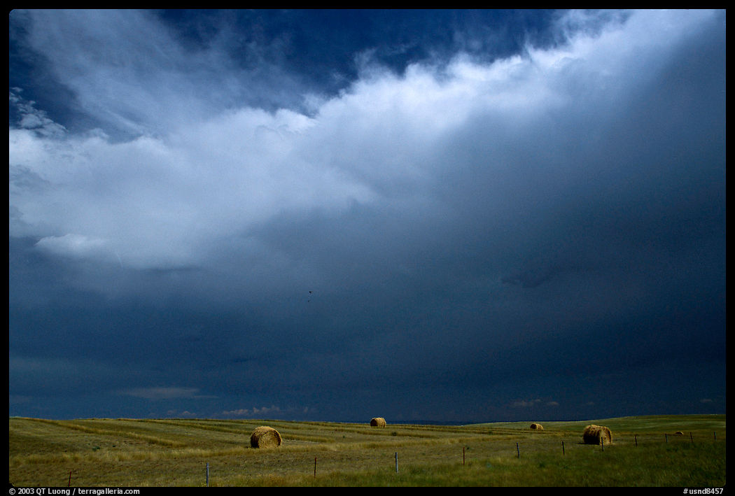 Hay rolls under a storm cloud. North Dakota, USA