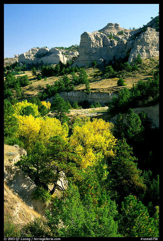 Trees and sandstone cliff.. Nebraska, USA