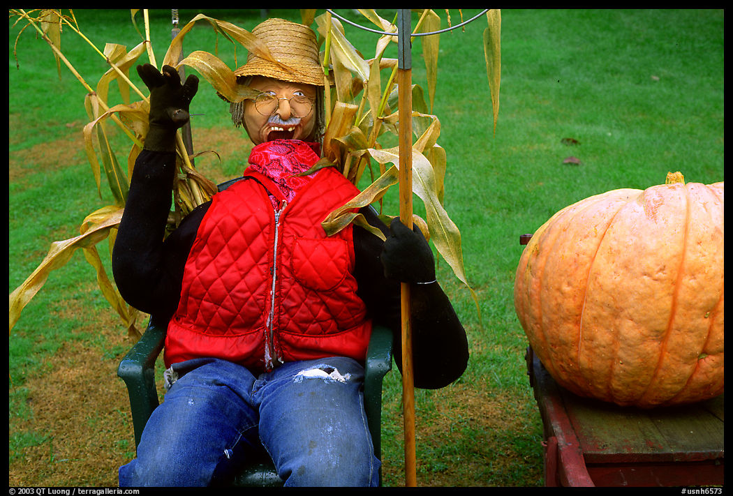 Scarecrow. New Hampshire, New England, USA