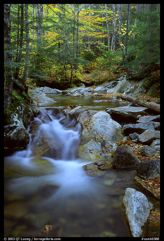 Stream in fall. New Hampshire, New England, USA