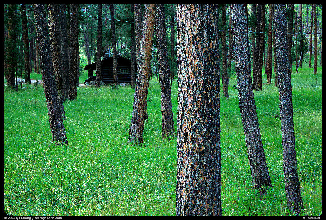 Cabins in Custer State Park. South Dakota, USA