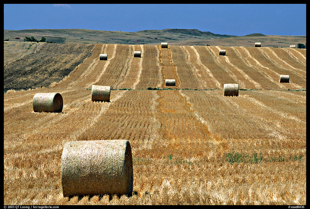 Rolls of hay. South Dakota, USA