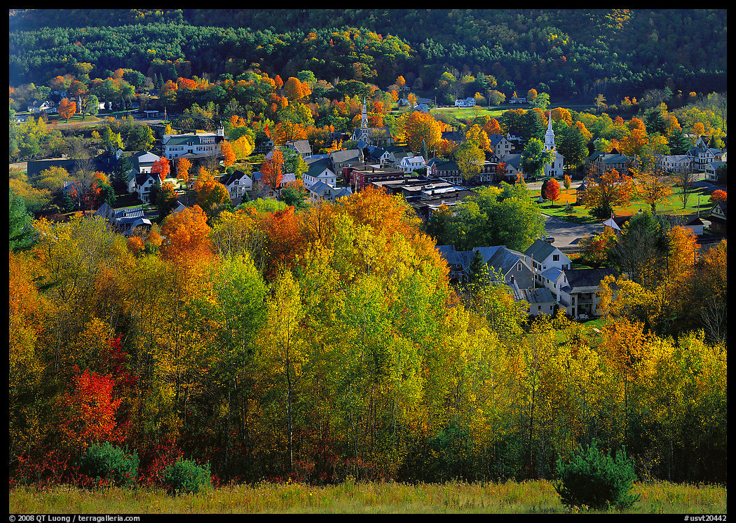 Village with trees in fall foliage. USA
