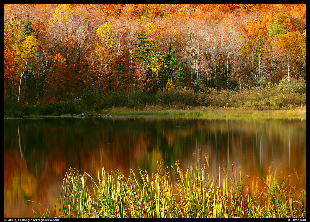 Hill in fall colors reflected in a pond. Vermont, New England, USA