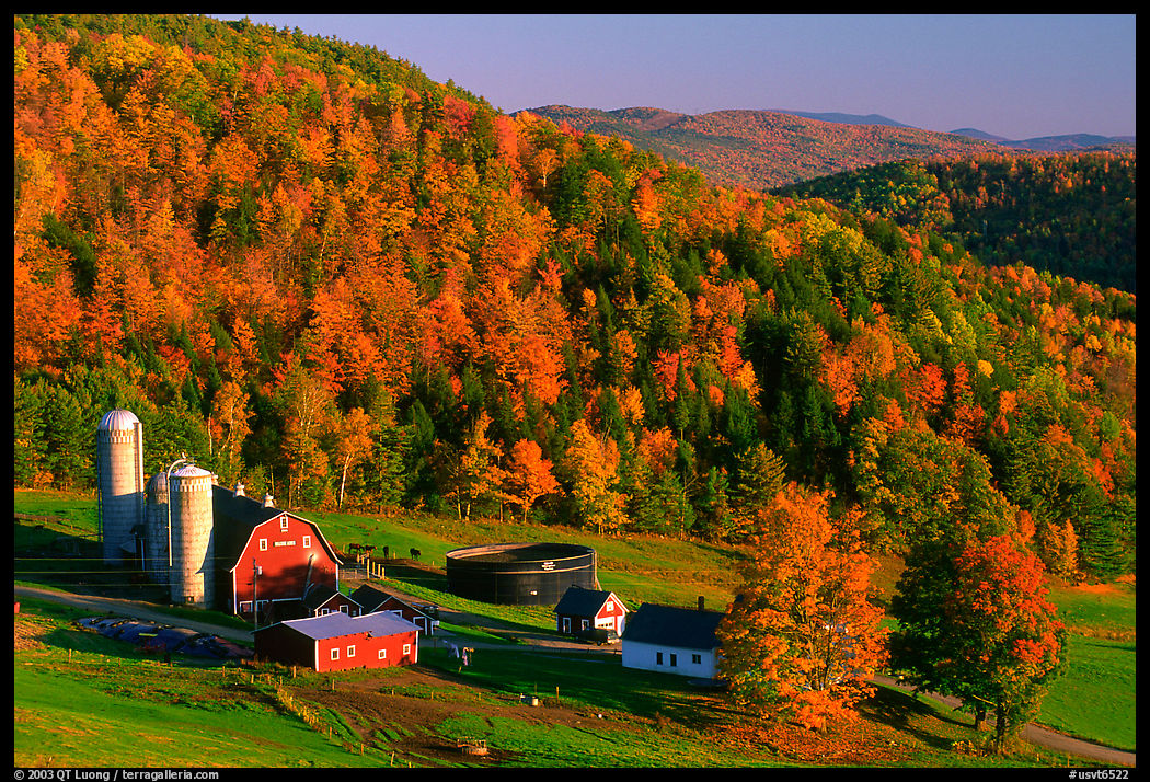 Farm surrounded by hills in fall foliage. Vermont, New England, USA