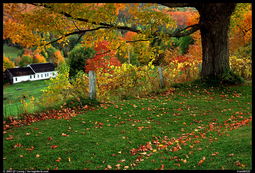 Peacham. Vermont, New England, USA
