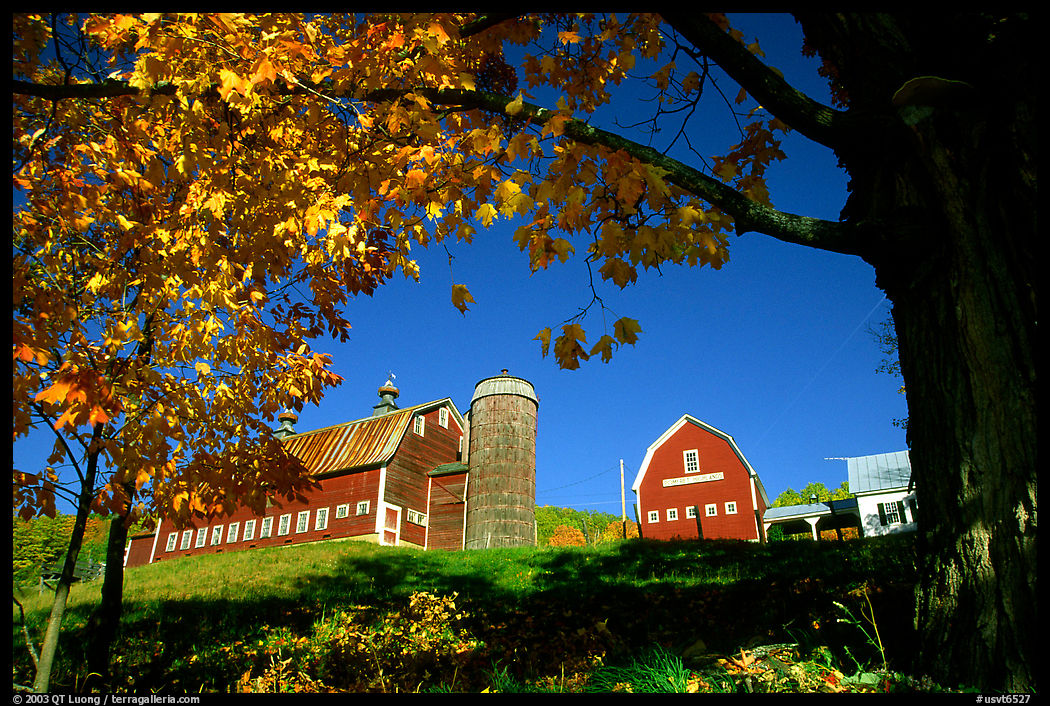 Pomeret Highlands Farm near Woodstock. Vermont, New England, USA
