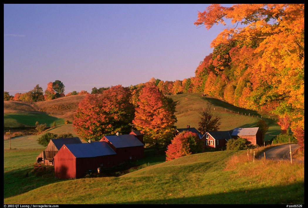 Jenne Farm, sunrise. Vermont, New England, USA
