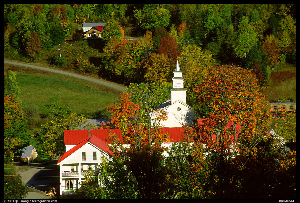 Red roofs in East Topsham village. Vermont, New England, USA