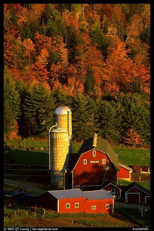 Farm and silos surrounded by hills in autumn  foliage. Vermont, New England, USA