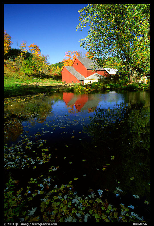 Pond and Sherbourne Farm in Hewettville. Vermont, New England, USA
