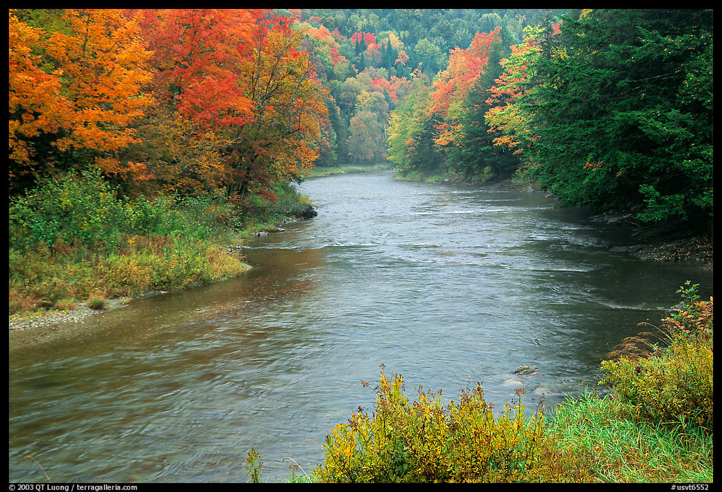 River with trees in autumn color. Vermont, New England, USA