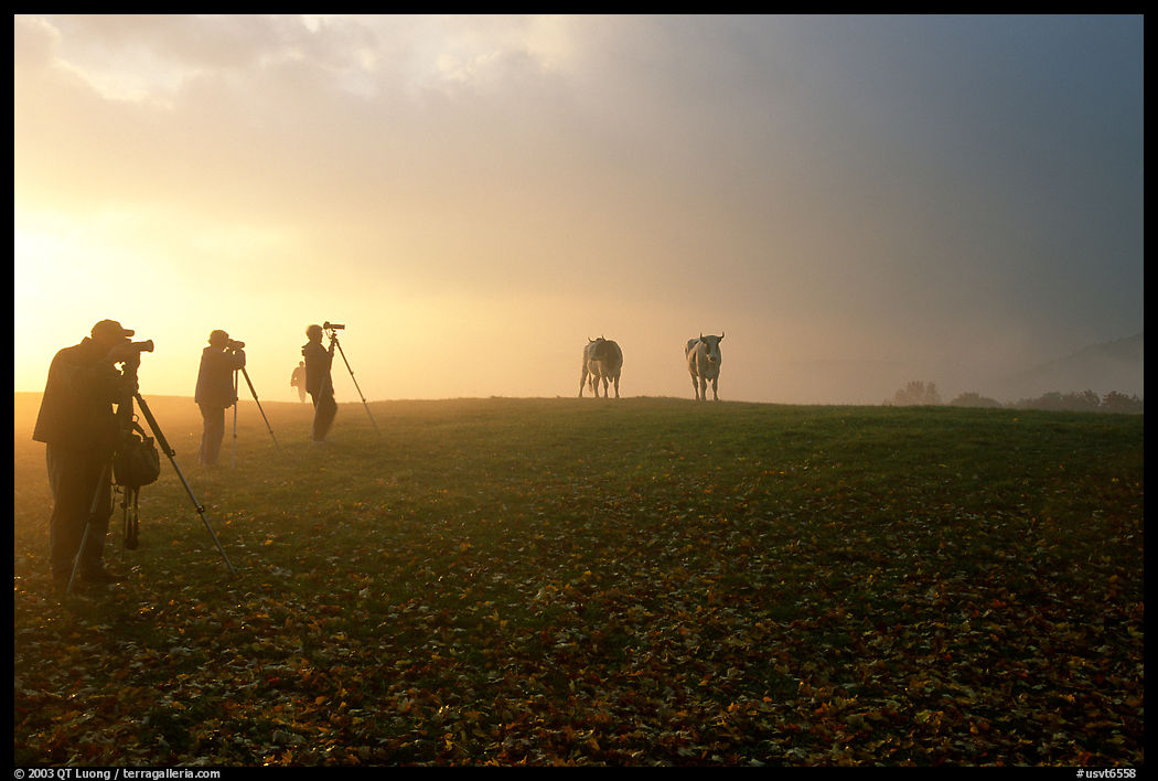 Photographers at sunrise near Jenne Farm. Vermont, New England, USA