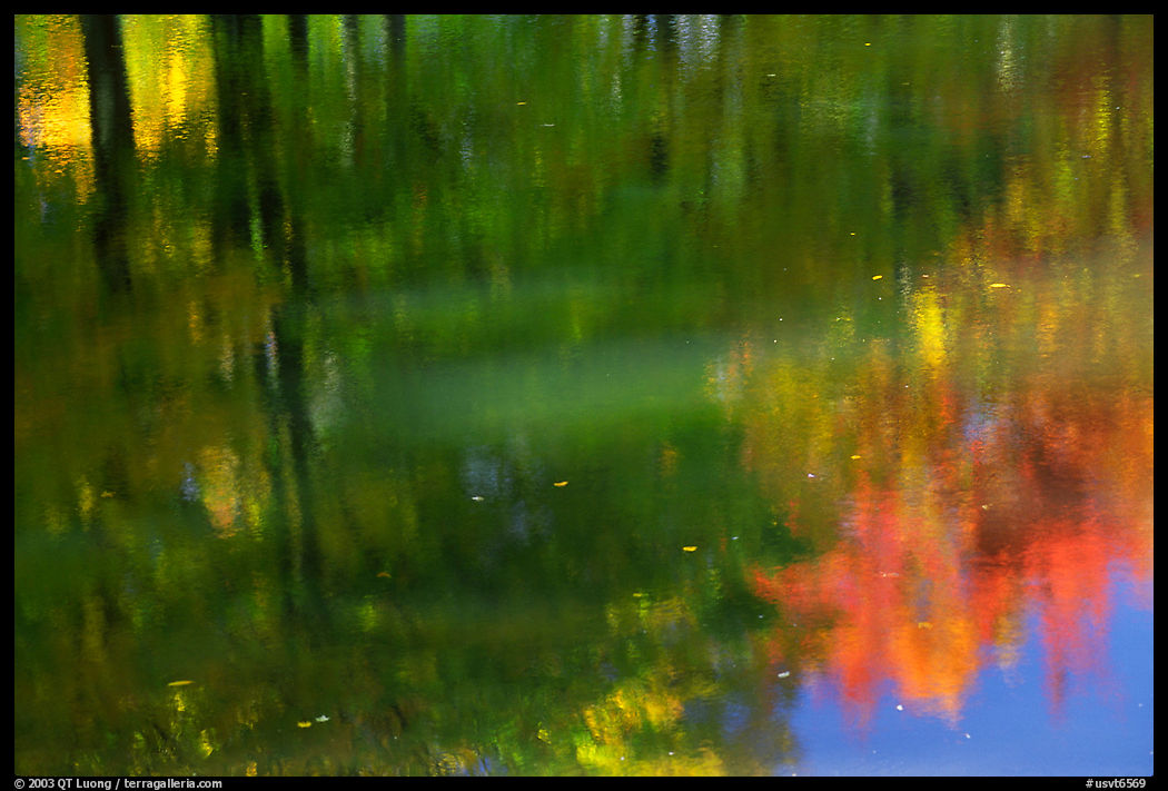 Foliage reflexions. Vermont, New England, USA