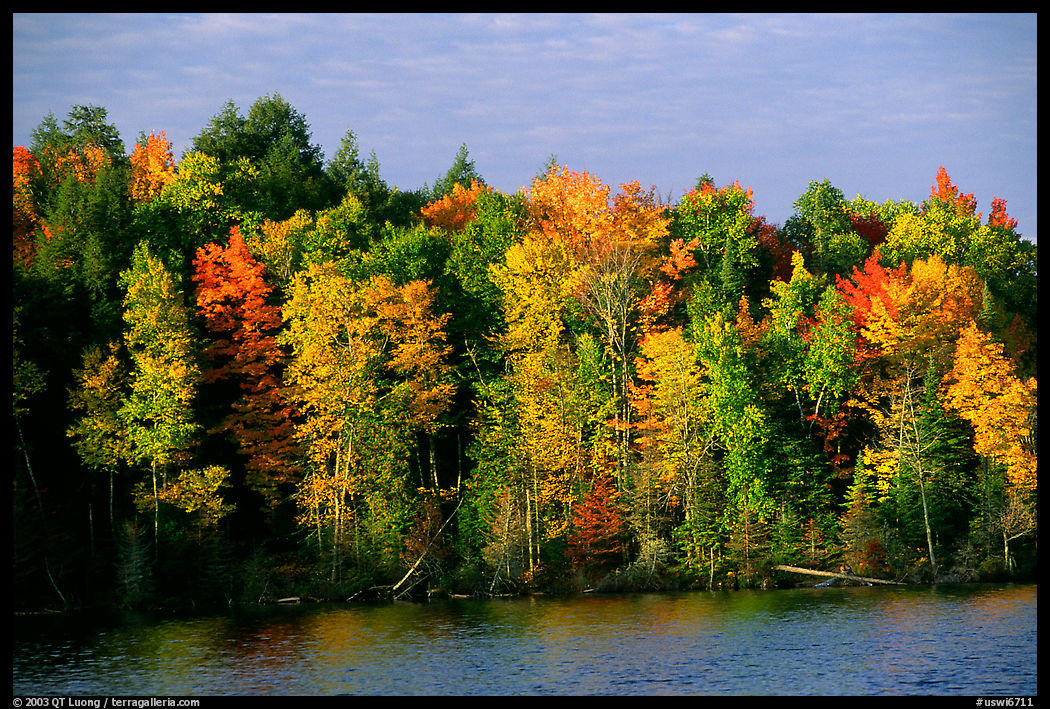 Trees in fall colors bordering a lake. Wisconsin, USA