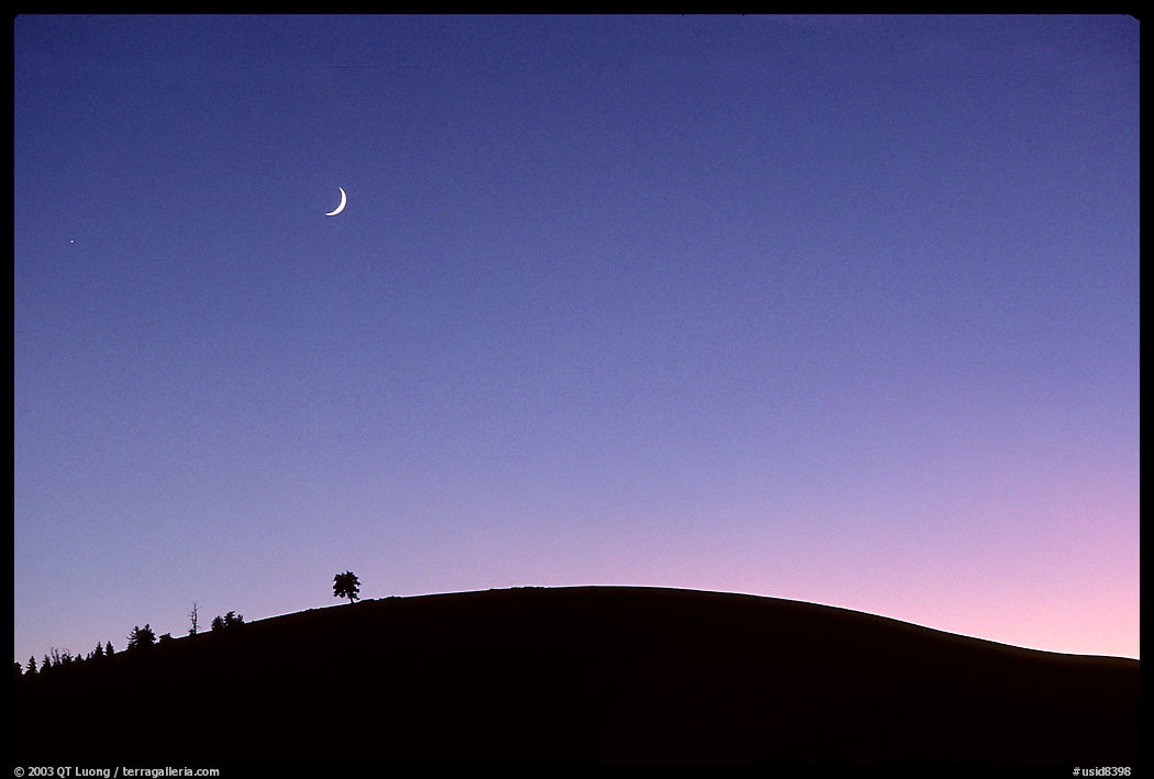 Pine on cinder cone and crescent moon, Craters of the Moon National Monument. Idaho, USA