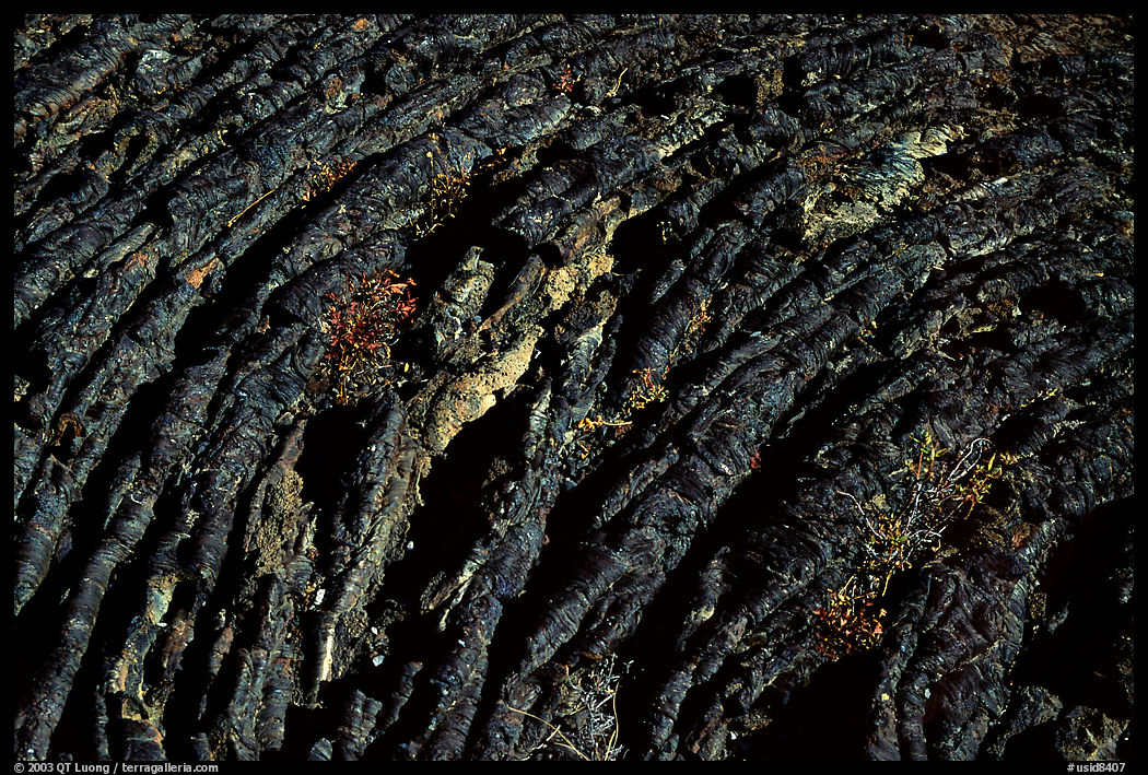 Hardened Lava, Craters of the Moon National Monument. Idaho, USA