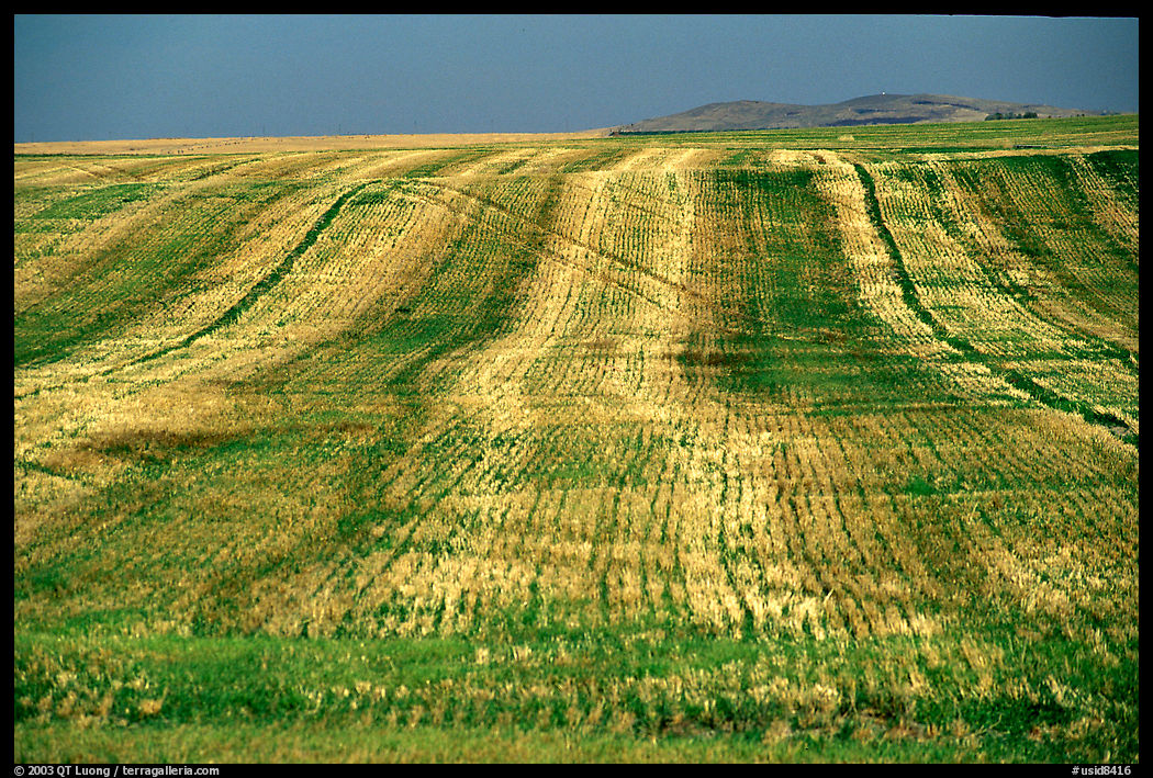 Field. Idaho, USA