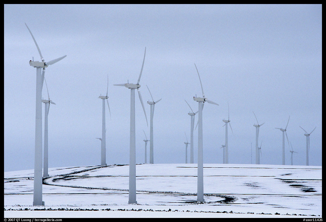 Electricity-generating windmills. Oregon, USA