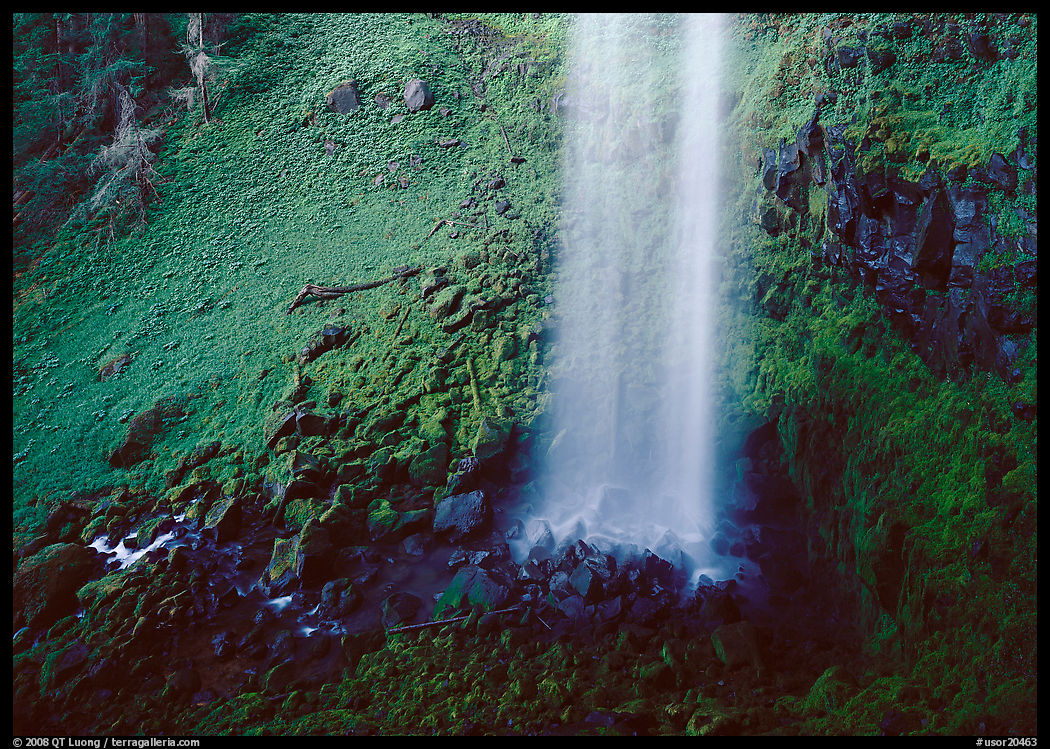 Mossy basin and waterfall base, Watson Falls. Oregon, USA
