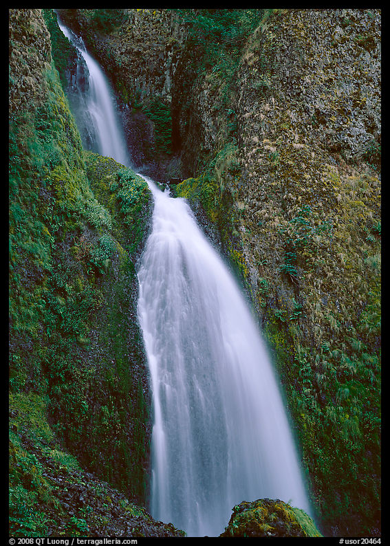 Waterfall, Columbia River Gorge. Columbia River Gorge, Oregon, USA