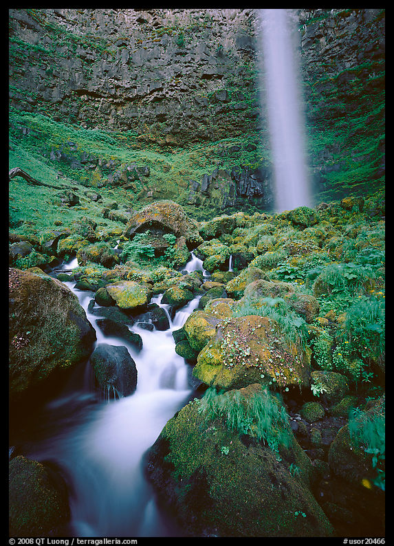 Mossy boulders and Watson Falls. Oregon, USA