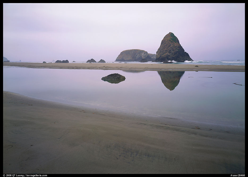 Triangular rock reflected in beach tidepool. Oregon, USA