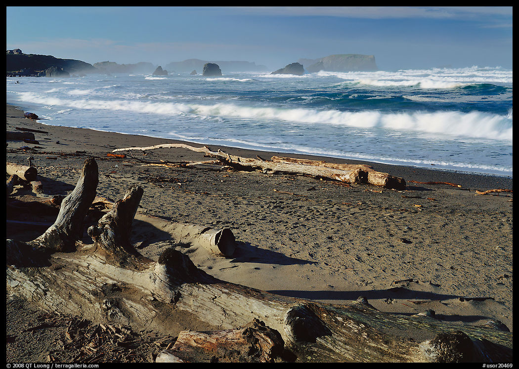 Logs on beach and surf near Bandon. Bandon, Oregon, USA