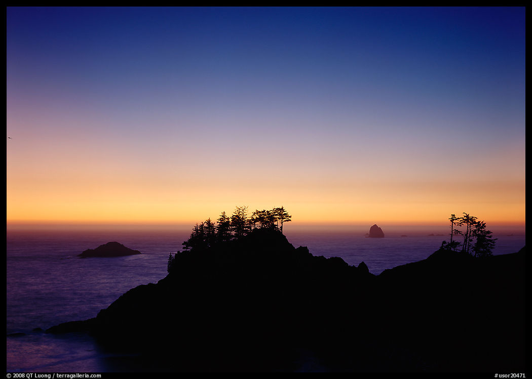 Headlands with trees at sunset. USA
