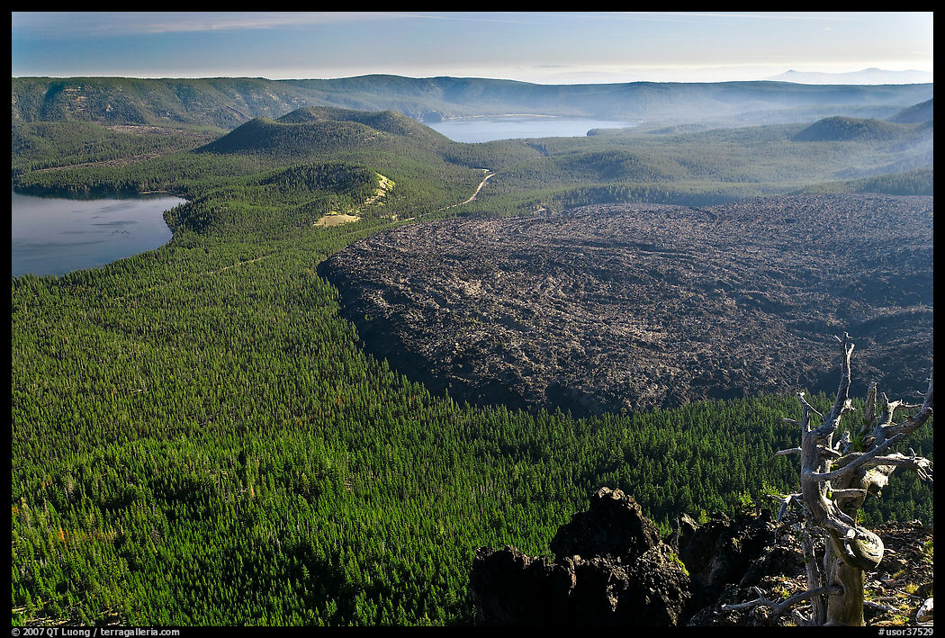 Lakes and lava flow, early morning. Newberry Volcanic National Monument, Oregon, USA