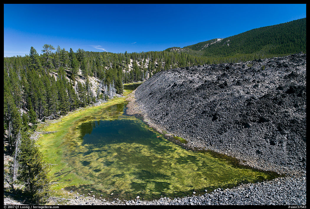 Pond at the edge of lava flow. Newberry Volcanic National Monument, Oregon, USA