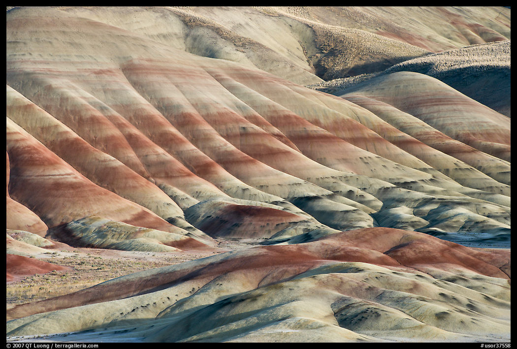 Colorful layers of rock on eroded hills. John Day Fossils Bed National Monument, Oregon, USA