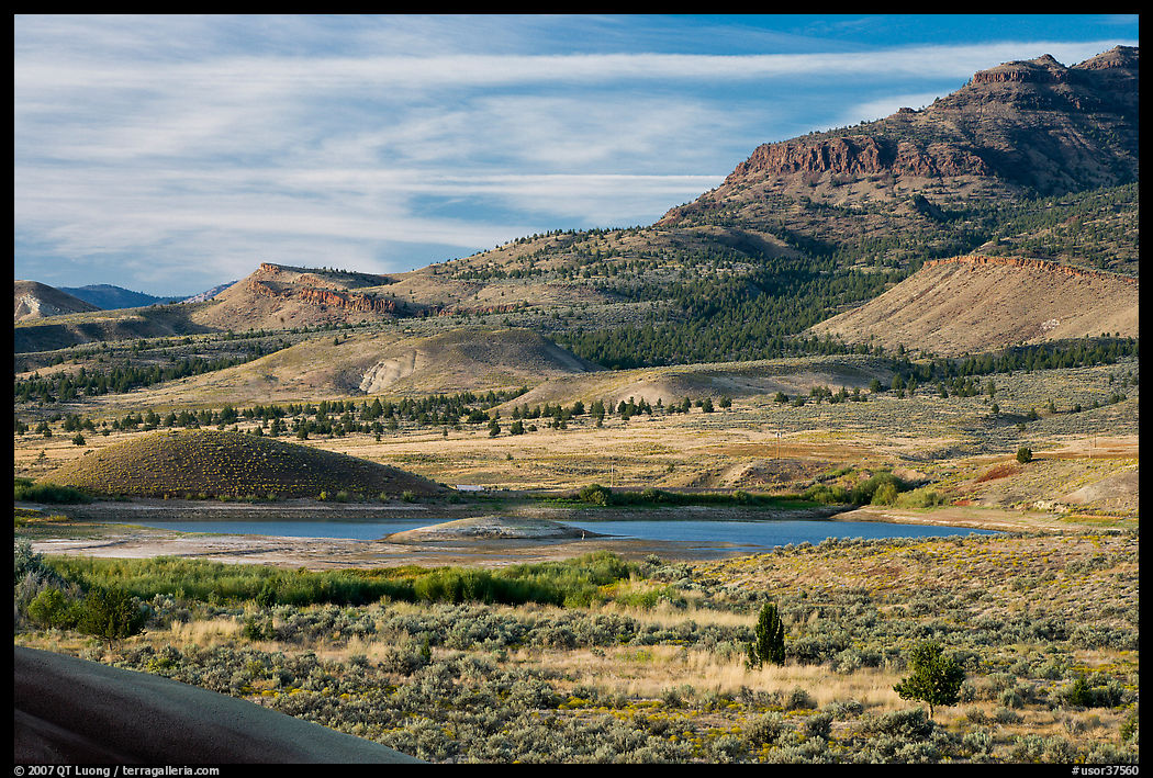 Sagebrush and hills. John Day Fossils Bed National Monument, Oregon, USA