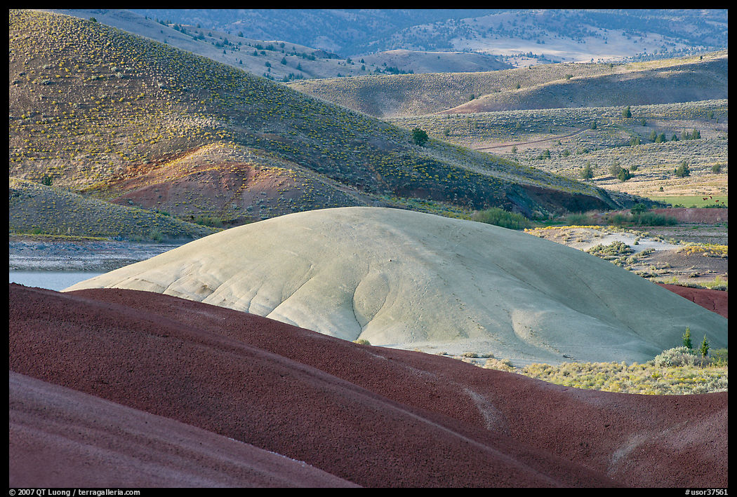 Bare ash mounds and sagebrush-covered slopes. John Day Fossils Bed National Monument, Oregon, USA