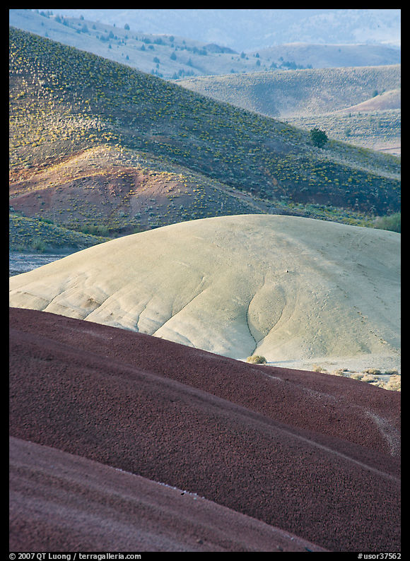Weathered ash hummocks and sagebrush-covered slopes. John Day Fossils Bed National Monument, Oregon, USA