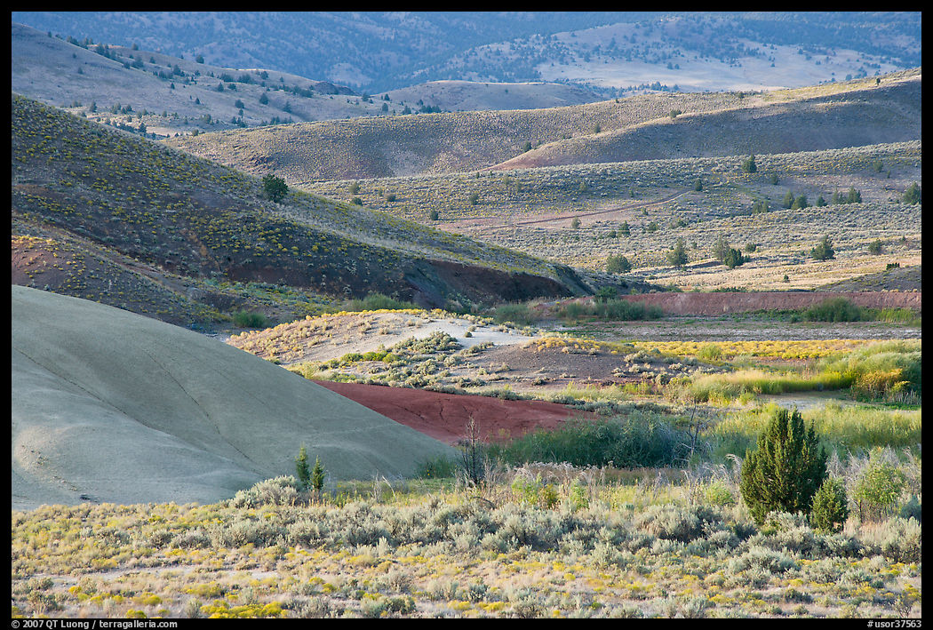 Sagebrush and ash hills. John Day Fossils Bed National Monument, Oregon, USA