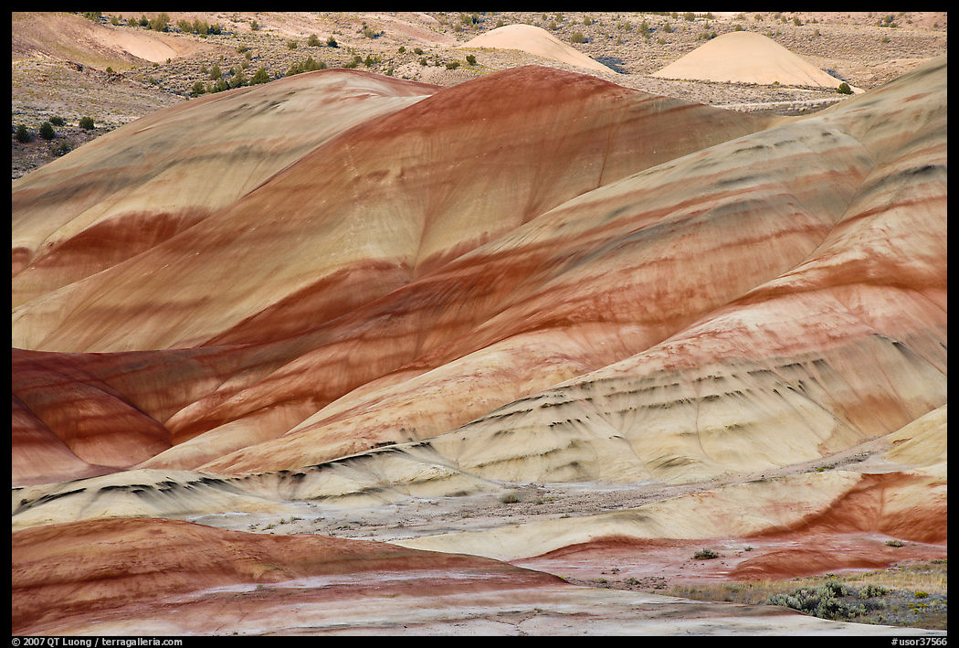 Weathered volcanic ash hills. John Day Fossils Bed National Monument, Oregon, USA
