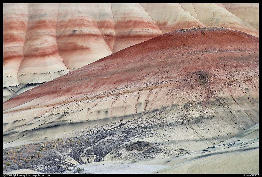Colorful hummocks and hills. John Day Fossils Bed National Monument, Oregon, USA