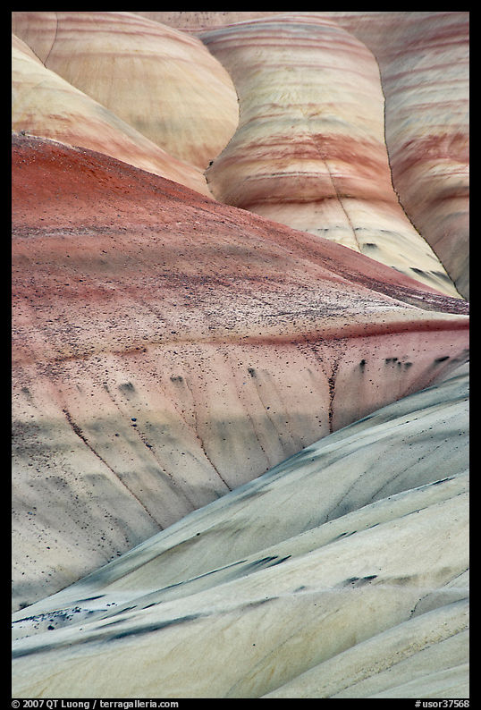 Eroded volcanic ash hummocks. John Day Fossils Bed National Monument, Oregon, USA