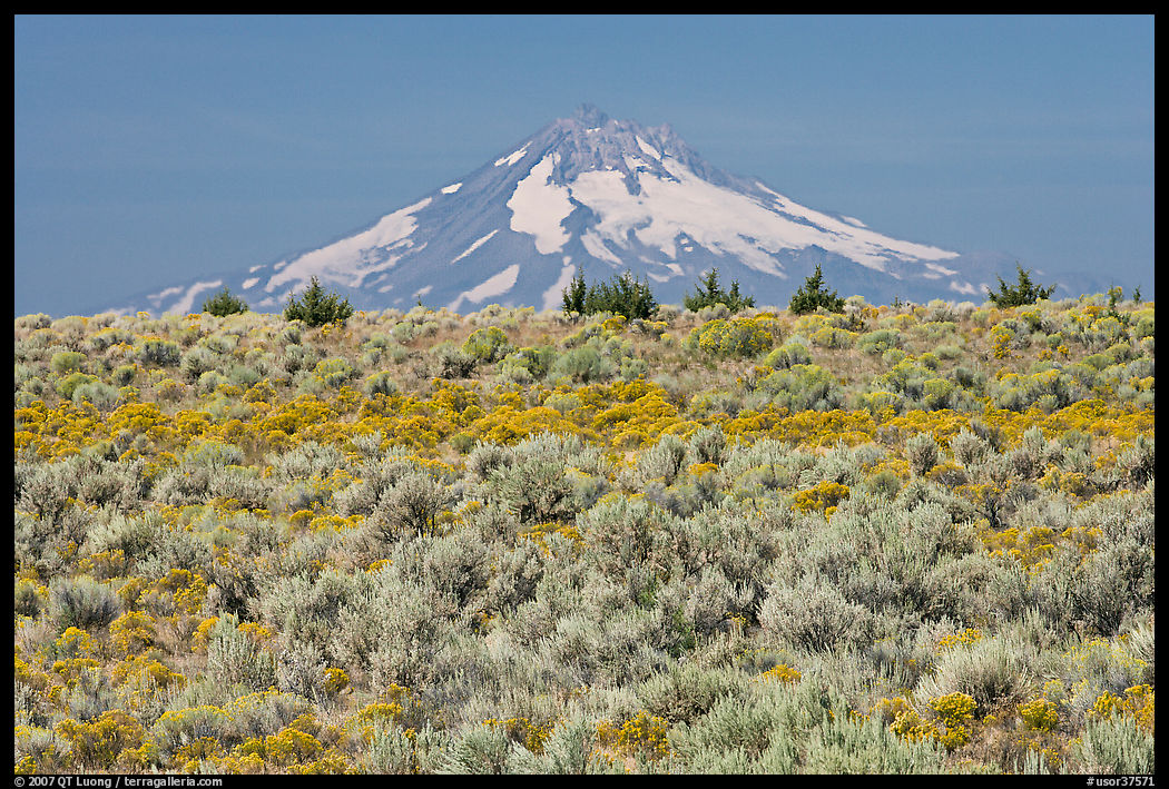 Mt Hood above sagebrush-covered plateau. Oregon, USA
