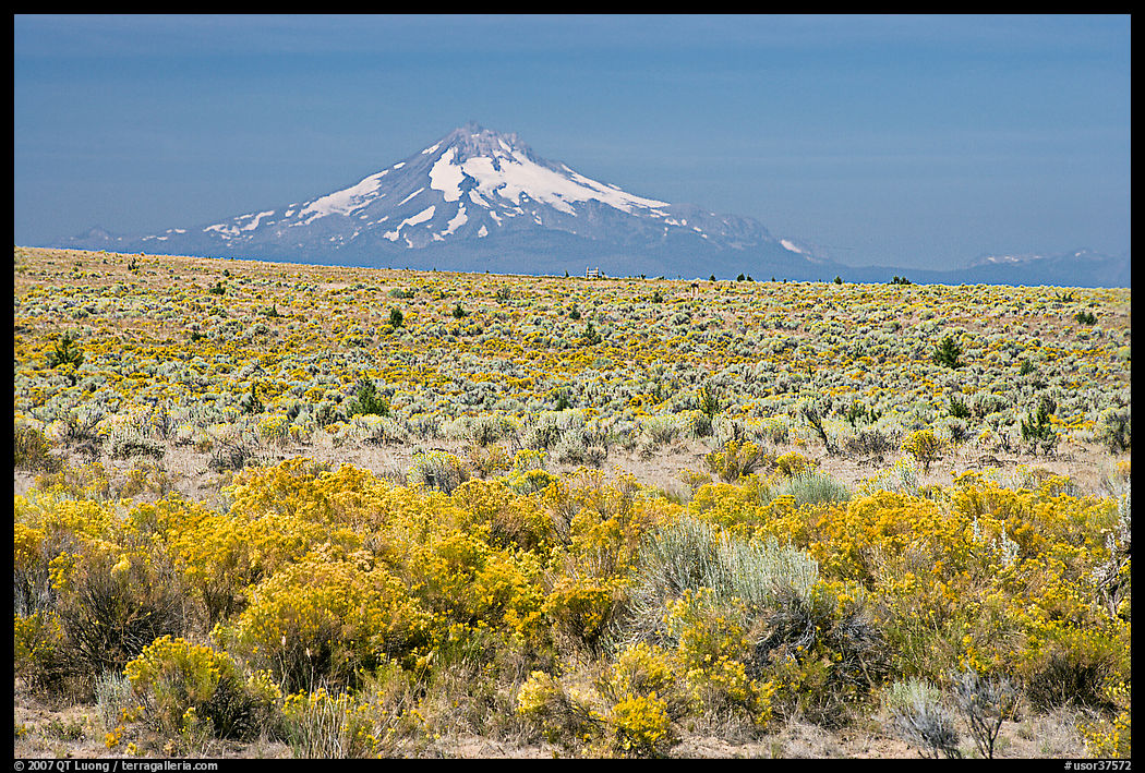 Sagebrush desert and Mt Hood. Oregon, USA