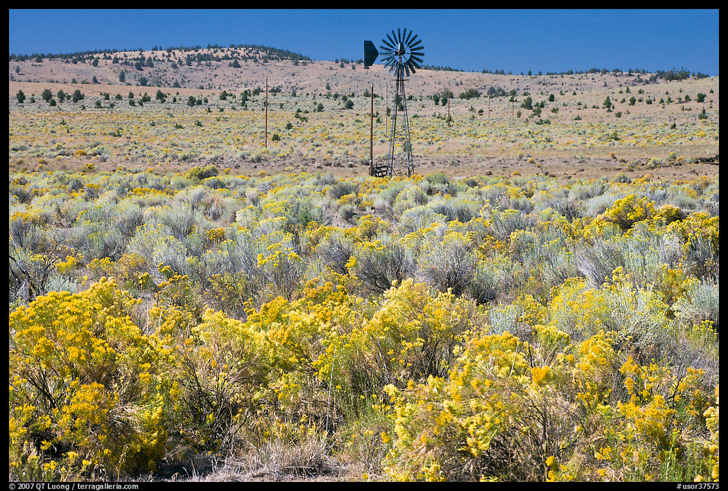 Windmill and  sagebrush. Oregon, USA