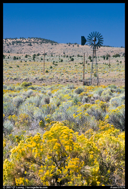 Sagebrush slopes and windmill. Oregon, USA