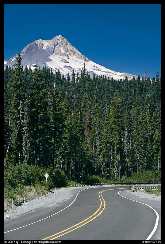 Road and Mt Hood. Oregon, USA
