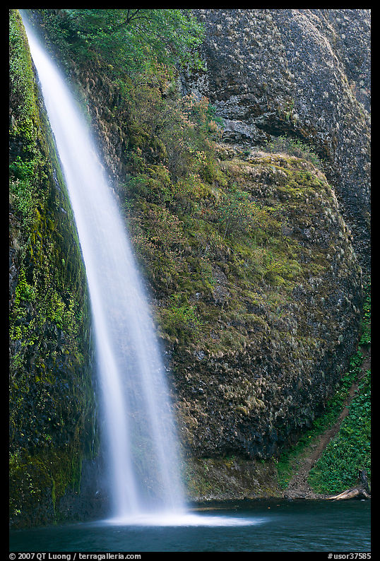 Horsetail Falls. Columbia River Gorge, Oregon, USA