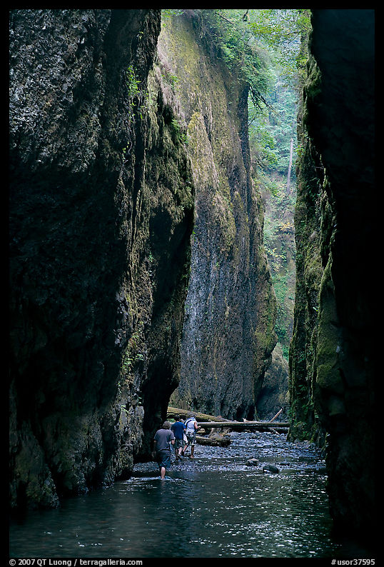 Hikers wading, Oneonta Gorge. Columbia River Gorge, Oregon, USA