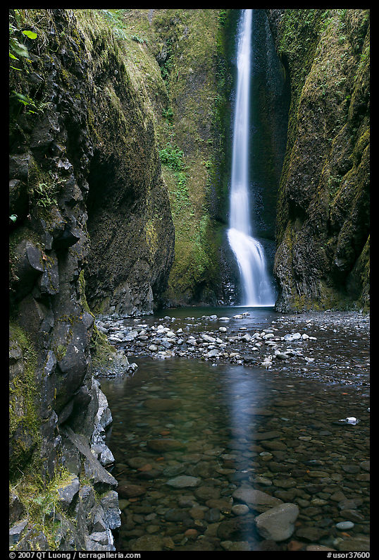 Oneonta Falls at the end of Oneonta Gorge. Columbia River Gorge, Oregon, USA