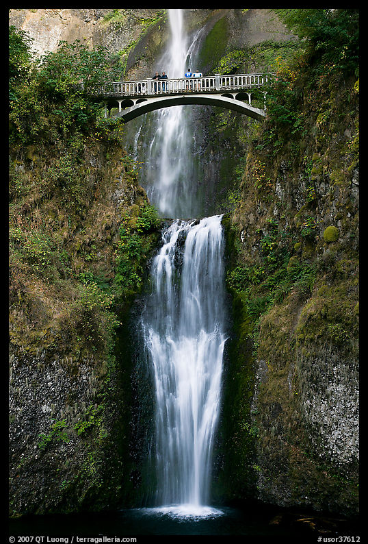 Lower Multnomah Falls and Benson Bridge. Columbia River Gorge, Oregon, USA